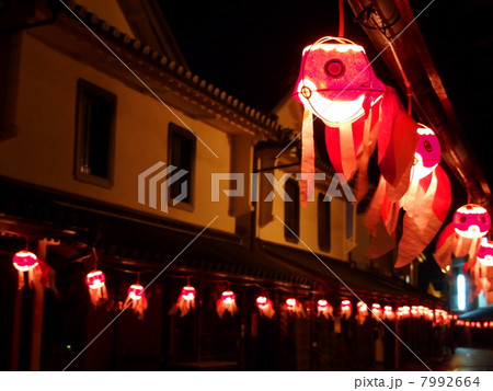 金魚ちょうちん 7992664