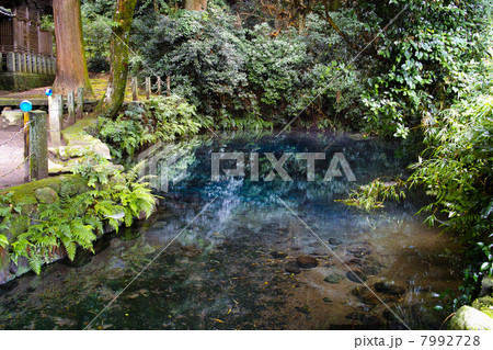 塩井社水源　南阿蘇村湧水群 7992728