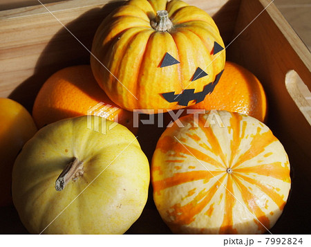 ハロウィン ハロウィン 7992824