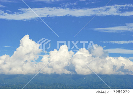 夏雲 夏雲 7994070