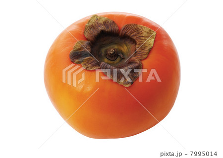 Persimmon Persimmon 7995014