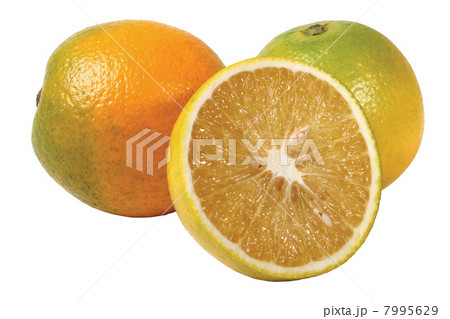 Oranges Oranges 7995629