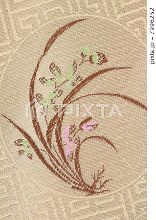 Beautiful textile 7996252