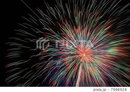 花火 花火 7996928
