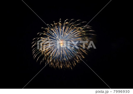 花火 花火 7996930