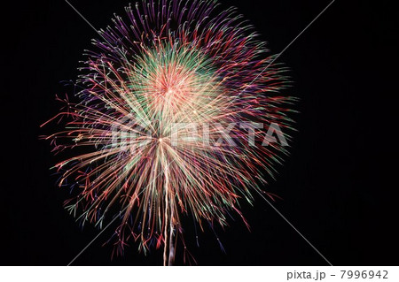 花火 花火 7996942