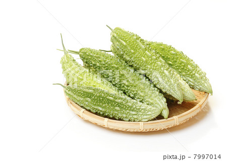 収穫したゴーヤ 収穫したゴーヤ 7997014