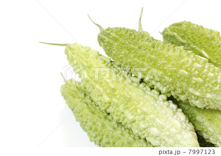 収穫したゴーヤ 7997123