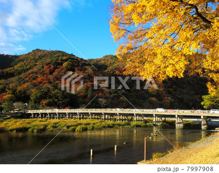 嵐山の紅葉 7997908