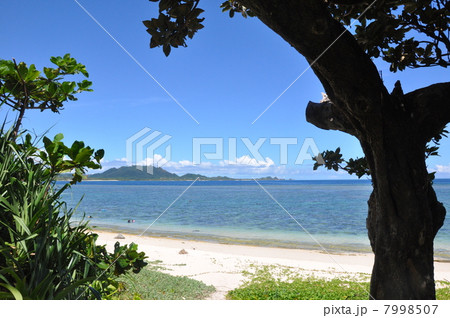 米原ビーチ 米原ビーチ 7998507