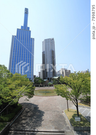 神戸・東遊園地 7998795