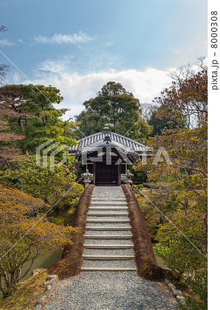 桂離宮　園林堂と書院を結ぶ土橋 8000308
