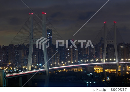 上海南浦大橋 8000337
