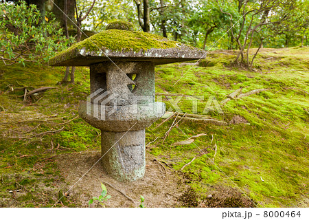 桂離宮　水螢の石灯籠 8000464