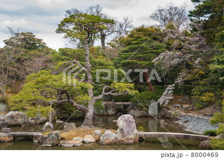 桂離宮 桂離宮 8000469