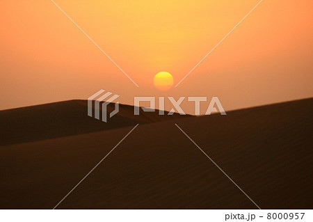 インド タール砂漠に沈んでいく夕陽 インド タール砂漠に沈んでいく夕陽 8000957