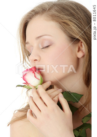 Rose Rose 8011645