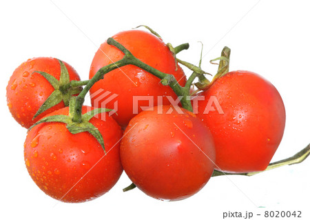 Fresh wet tomatos Fresh wet tomatos 8020042