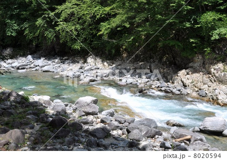 初夏の付知峡 8020594