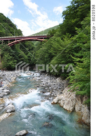 初夏の付知峡 初夏の付知峡 8020598