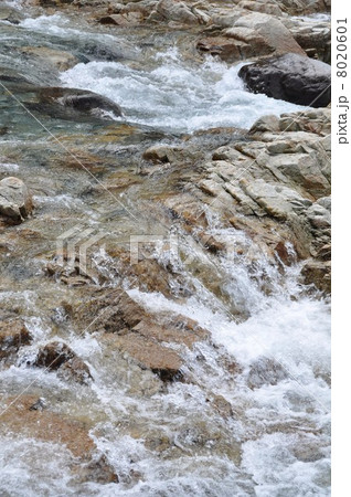 初夏の付知峡 8020601