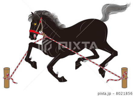 黒馬の繋ぎ馬 8021856