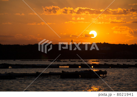 筏と夕陽 8021941