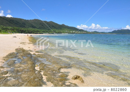 米原ビーチの海岸 米原ビーチの海岸 8022860