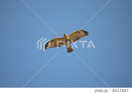 大空から♪ 8022867