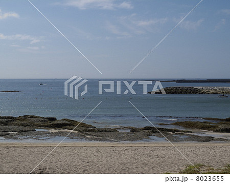 引き潮の興津海水浴場 引き潮の興津海水浴場 8023655