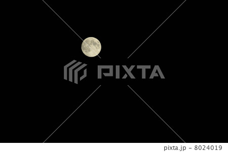 満月 黒バック  満月 黒バック  8024019