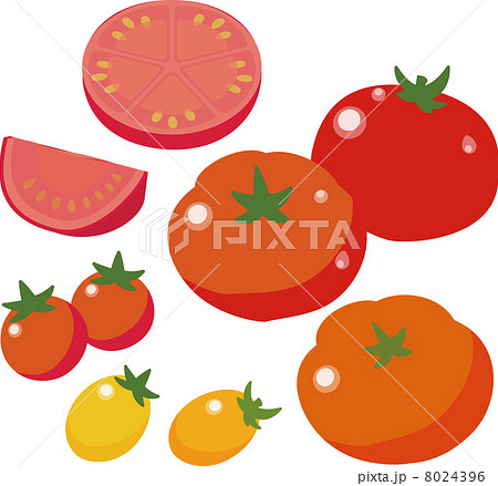 トマトとプチトマト 8024396