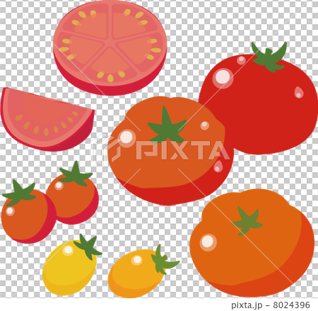 トマトとプチトマト 8024396
