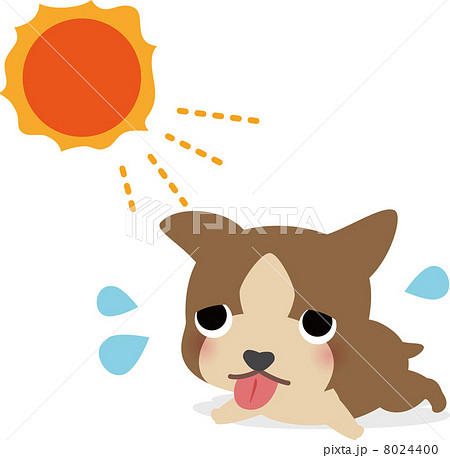 暑さでぐったりする犬のイラスト素材