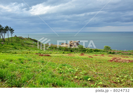 八戸散歩・鮫角 種差海岸 八戸散歩・鮫角 種差海岸 8024732