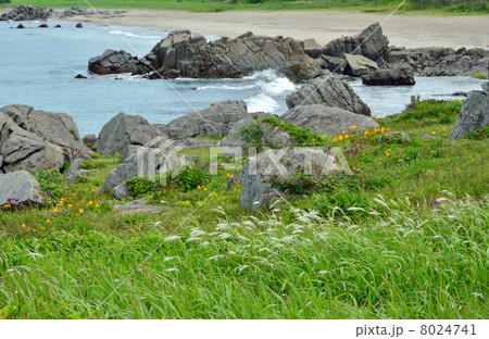 八戸散歩・種差海岸 八戸散歩・種差海岸 8024741