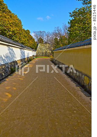好古園の庭園群を区切る「築地塀」（姫路公園／兵庫県姫路市本町） 8025446