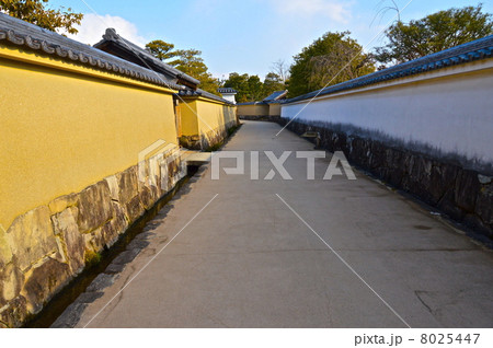 好古園の庭園群を区切る「築地塀」(姫路公園/兵庫県姫路市本町) 好古園の庭園群を区切る「築地塀」(姫路公園/兵庫県姫路市本町) 8025447
