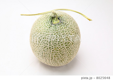 メロン 8025648