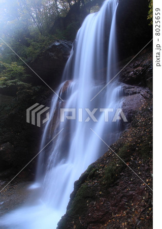 雷滝 雷滝 8025659