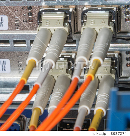 network cables connected to switch 8027274