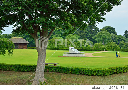 八戸散歩・根城本丸跡より根城の広場 8028181