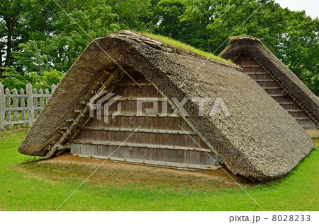 八戸散歩・納屋　根城本丸跡 8028233