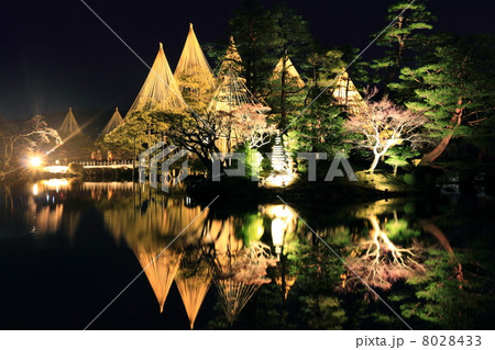 兼六園ライトアップ(唐崎松雪吊りと蓬莱島) 兼六園ライトアップ(唐崎松雪吊りと蓬莱島) 8028433