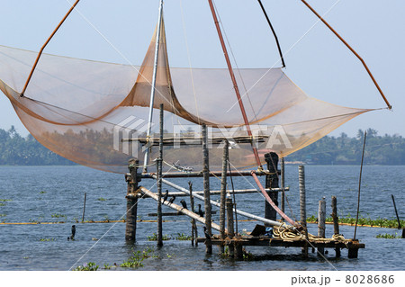 Chinese fishing nets. Vembanad Lake, Kerala, South India 8028686