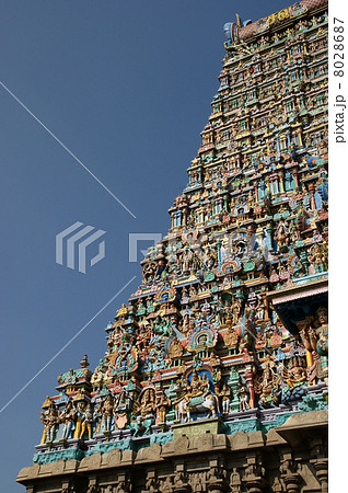 Meenakshi hindu temple in Madurai, Tamil Nadu, South India. 8028687