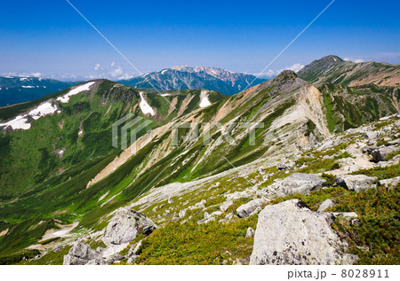 そびえる祖父岳・薬師岳・水晶岳・ワリモ岳（北アルプス・鷲羽岳頂上直下より） 8028911
