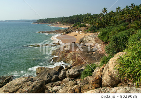 Ocean coast, Kerala, South India Ocean coast, Kerala, South India 8029038