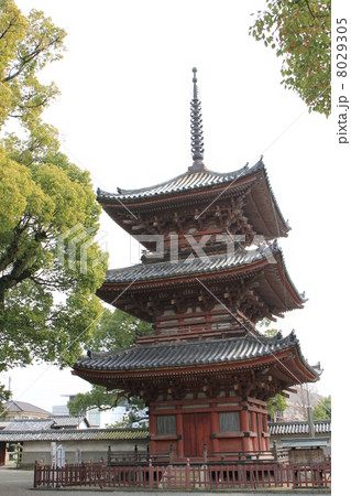 斑鳩寺 斑鳩寺 8029305
