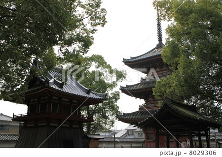 斑鳩寺 斑鳩寺 8029306